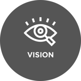 vision-icon